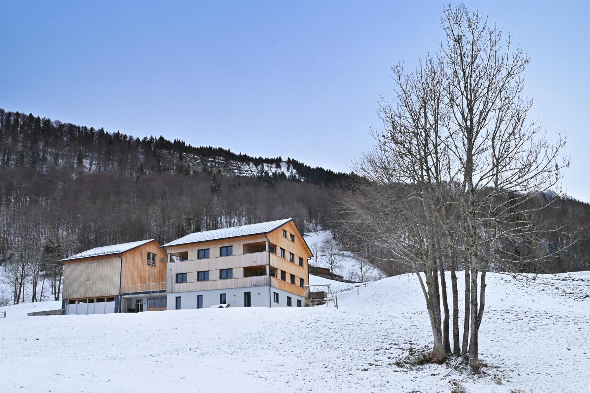Ferienwohnung Panoramahof Bergglück Mellau Exterior foto